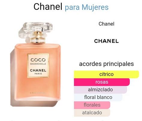 coco chanel notas|coco de chanel para mujer.